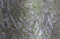 Aird Adhanais fibreglass roof work